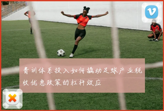 青训体系投入如何撬动足球产业税收优惠政策的杠杆效应
